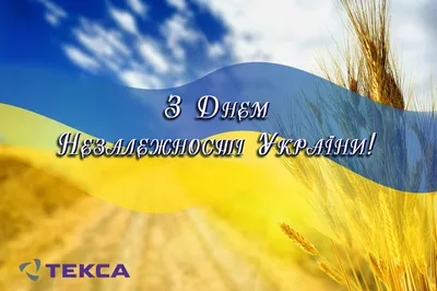 Поздравляем с Днем Независимости Украины! | Полезная информация от  интернет-магазина гаджетов и аксессуаров - dm.kh.ua