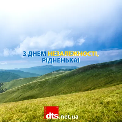 Вареники и подсолнухи: как украинцы в США отмечают День Независимости  Украины - ForumDaily