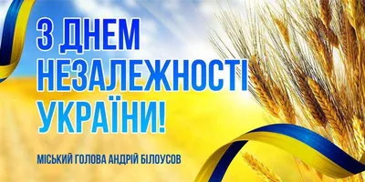 Поздравляем с Днем Независимости Украины! - Voronin — официальный  интернет-магазин