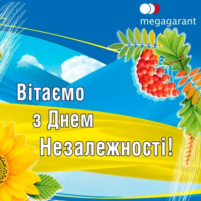С Днем Независимости Украины! (24 августа 2022 г.) — Динамо Киев от Шурика