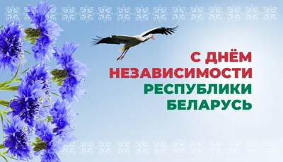 Поздравление с Днем Независимости Казахстана | Консульство Республики  Казахстан в г. Омске (Российская Федерация)