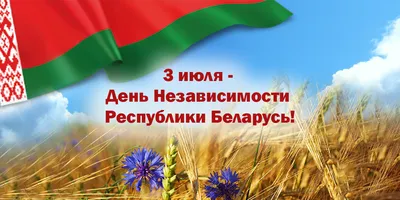 С Днем независимости Украины! | SHOP-GSM.UA