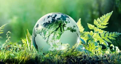 Всемирный день охраны окружающей среды с акцентом на биоразнообразии -  Общество
