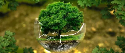 Поздравление Рустема Газизова с Днём эколога России, Всемирным днём охраны  окружающей среды