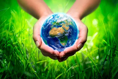 Поздравление с Днем эколога и Всемирным Днем охраны окружающей среды! |  05.06.2022 | Усть-Донецкий - БезФормата