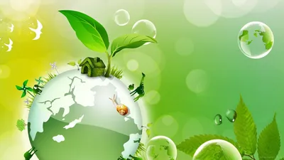 Важная дата: День охраны окружающей среды - QBUZZ