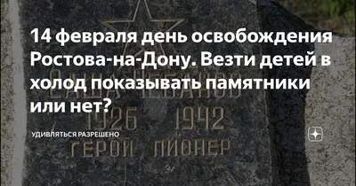 🙏 30 августа исполняется 80 лет со дня полного освобождения Ростовской  области от немецко-фашистских захватчиков. .. | ВКонтакте