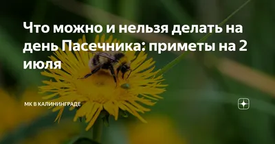 Картинки С Днем Пасечника фотографии