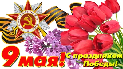 Поздравления с 75-летием Победы в Великой Отечественной войне — Центр  государственной кадастровой оценки
