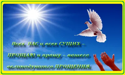 Как правильно просить прощение: молитва за недругов и приметы в Прощенное  воскресенье • ИА «ВК Пресс» Краснодар