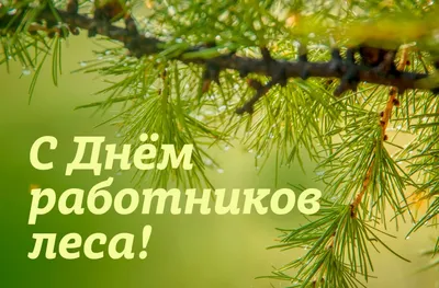 Поздравление с Днём работников леса!