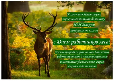 Дума Ставропольского края - 19 сентября – День работников леса и  лесоперерабатывающей промышленности