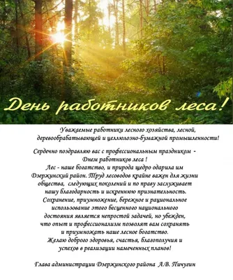 Поздравление с Днем работников леса! - ФБУ \"СевНИИЛХ\"