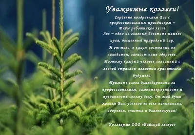 Министр экологии, геологии и природных ресурсов Казахстана Магзум  Мирзагалиев поздравил работников лесного хозяйства страны с  профессиональным праздником