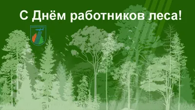 Отмечаем День работников леса