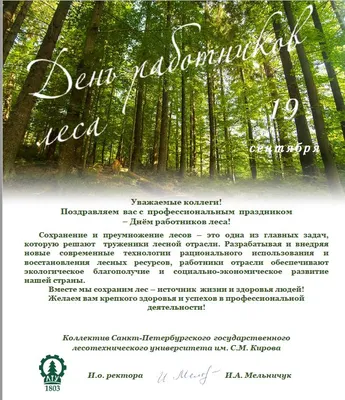 Свежие новые поздравления в стихах и прозе в День работников леса 18  сентября