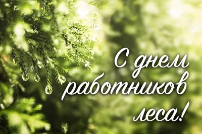 С Днем работников леса! — Государственное лесохозяйственное учреждение  \"Лунинецкий лесхоз\"