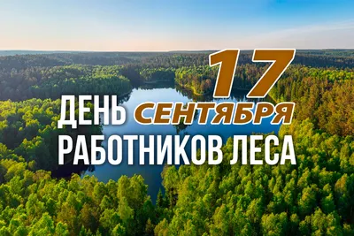 ПОЗДРАВЛЯЕМ С ДНЁМ РАБОТНИКОВ ЛЕСА! / Министерство природных ресурсов, лесного  хозяйства и экологии Новгородской области