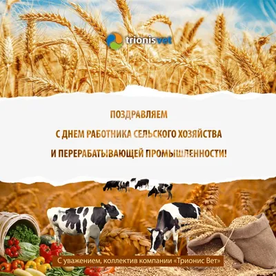 Поздравляем с Днем работников сельского хозяйства! - Новости