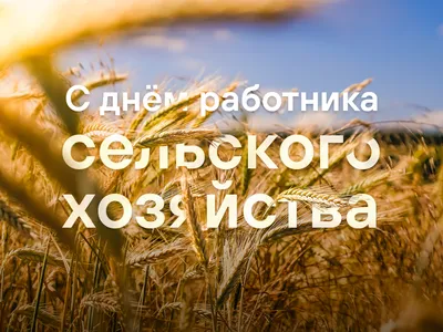 8 октября – День работника сельского хозяйства и перерабатывающей  промышленности – Газета \"Наше слово\"