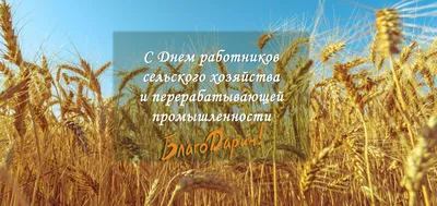 Открытки открытки на день работников сельского хозяйства и перераба...