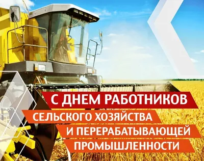 Крутые открытки и поздравления в День работника сельского хозяйства и перерабатывающей  промышленности 8 октября | Весь Искитим | Дзен