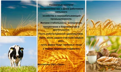 Поздравляем с Днем работников сельского хозяйства и перерабатывающей  промышленности в РФ