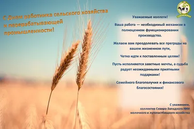 День работника сельского хозяйства и перерабатывающей промышленности:  Почему это важно для нас всех - Усть-Донецкий район