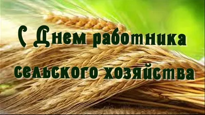 С Днем работника сельского хозяйства и перерабатывающей промышленности!