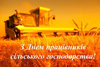 11 октября – День работника сельского хозяйства | 10.10.2020 | Новости  Сортавалы - БезФормата
