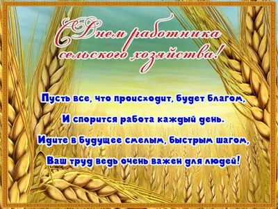 21 ноября – День работников сельского хозяйства и перерабатывающей  промышленности АПК