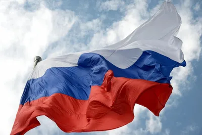 В эти выходные отмечаем День Российского флага 🇷🇺 | Комплексный  молодежный центр городского округа Долгопрудный