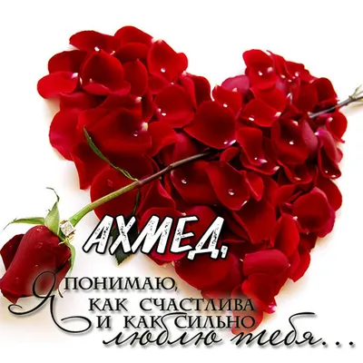 Поздравляем с Днём рождения Ахмеда Айдамирова! — Все новости — официальный  сайт РФК Ахмат