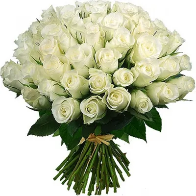 С днем рождения женщине белые розы - 77 фото
