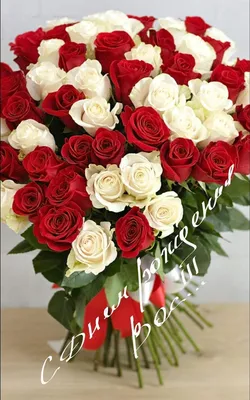 Конверт для денег \"С Днём Рождения!\" белые розы, 8,7х17 см купить, отзывы,  фото, доставка - СПКубани | Совместные покупки Краснодар, Анапа, Новороссий