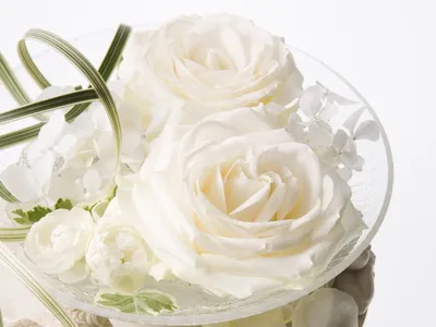 Открытки с днем рождения белые розы - 57 фото