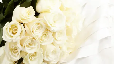 Красивые белые розы для тебя | Музыкальные Открытки Бесплатно