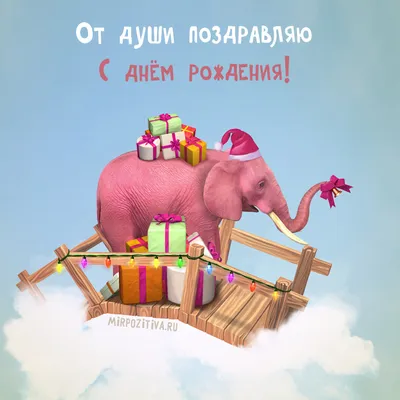 стильные открытки с днем рождения: 32 тыс изображений найдено в  Яндекс.Картинках | С днем рождения, Цветы день рождения, Цветы на рождение