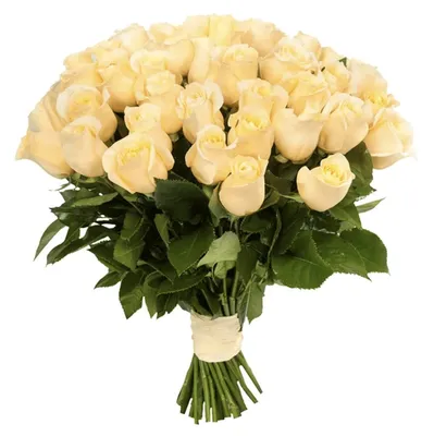 Заказать букет цветов роз с днем рождения FL-1239 купить - хорошая цена на  букет цветов роз с днем рождения с доставкой - FLORAN.com.ua