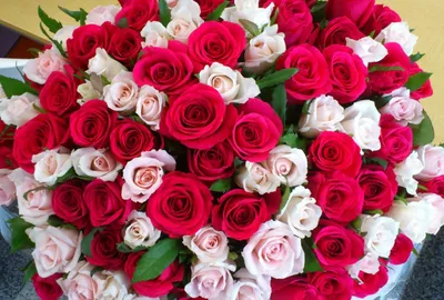 Открытки к празднику - С Днём рождения! Букет розовых роз  https://www.postcard7.net/с-др-открытки-г-3/с-др-букет-розовых-роз/ |  Facebook