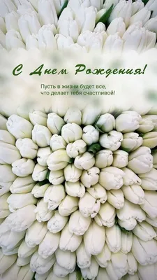 Открытка С Днем Рождения с Силуэтом Девушки - купить с доставкой по Москве,  цена