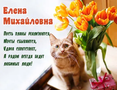 Елена Михайловна,Поздравляем с днем рождения! Желаем быть любимой,  желанной, неотразимой, головокружительной! Здоровья, удачи, достатка… |  Instagram