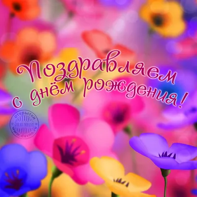 Яркие цветы в подарок — Скачайте на Davno.ru