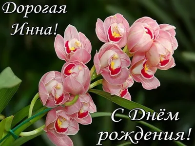 С днем рождения, Инна (Гражданка Шилова)! — Вопрос №428074 на форуме —  Бухонлайн