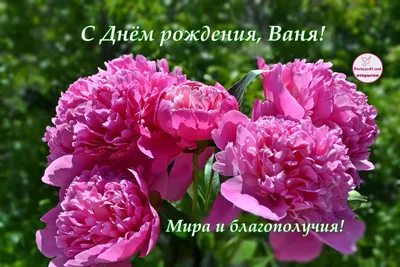 Поздравляем с Днем рождения Иванку (ivannakharkiv)!! - Поздравления с днем  рождения, с рождением и с другими праздниками - berehyni.com