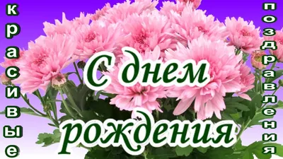 Купить Белые хризантемы в коробке с доставкой в Омске - магазин цветов Трава