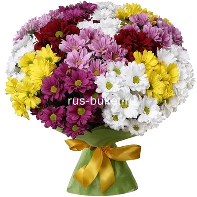 Купить Букет «осенний шарм» из хризантемы с эвкалиптом с доставкой по  Томску: цена, фото, отзывы.