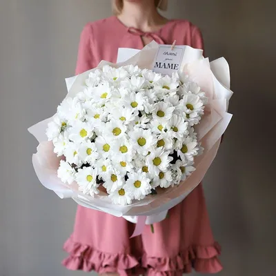 Купить «Хризантемы с шарами «С днем рождения»» с доставкой в Новосибирске