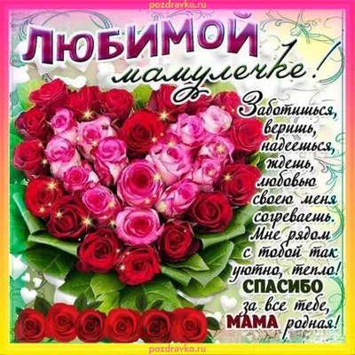 С Днем рождения мама - Новости Херсона