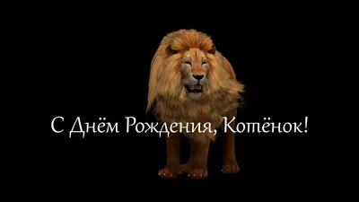 C днем рождения мужчине! Для настоящего Льва. В стиле - минимализм. — Видео  | ВКонтакте